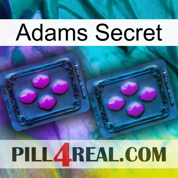 Adams Secret 03
